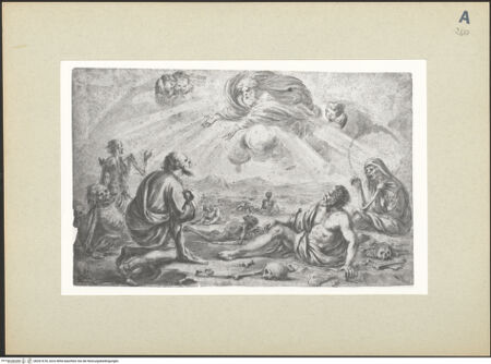 Vorderseite von bh261678_recto