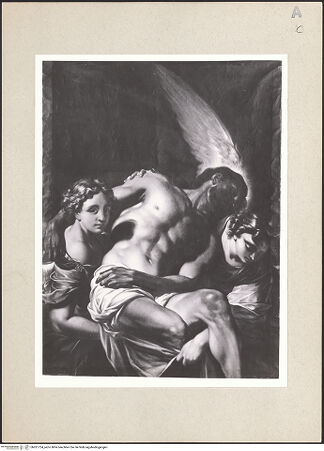 Vorderseite von bh261724_recto