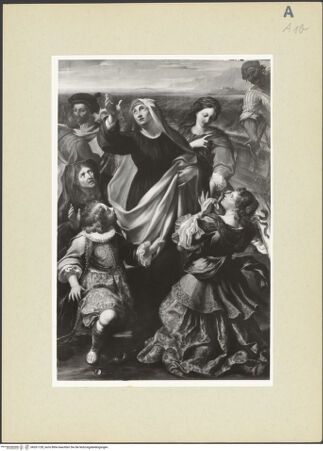 Vorderseite von bh261728_recto