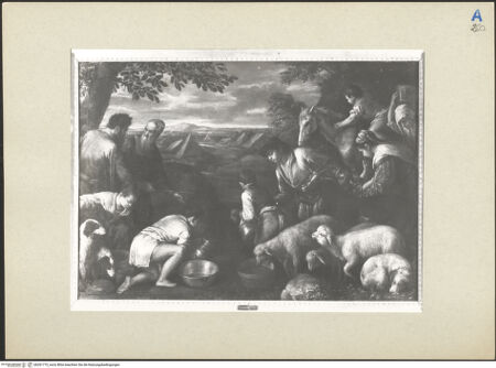 Vorderseite von bh261773_recto