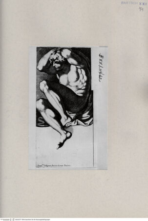 Vorderseite von  [http://creativecommons.org/publicdomain/mark/1.0/] ... - , bh262371. Foto.