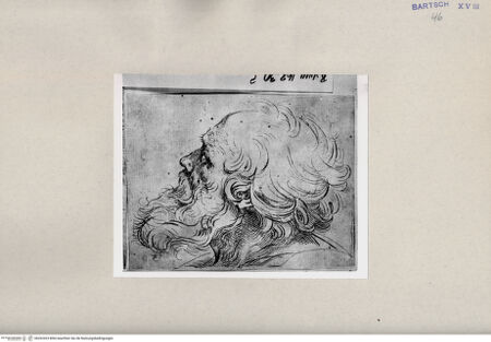 Vorderseite von  [http://creativecommons.org/publicdomain/mark/1.0/] ... - , bh262423. Foto.