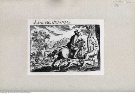 Vorderseite von  [http://creativecommons.org/publicdomain/mark/1.0/] Jagd - , bh262482. Foto.