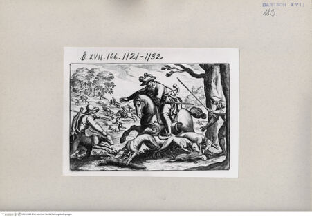 Vorderseite von  [http://creativecommons.org/publicdomain/mark/1.0/] Jagd - , bh262484. Foto.