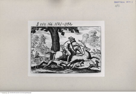 Vorderseite von  [http://creativecommons.org/publicdomain/mark/1.0/] Jagd - , bh262486. Foto.