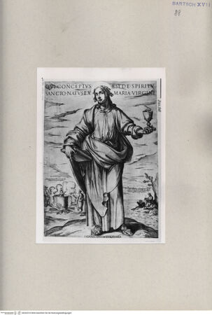 Vorderseite von  [http://creativecommons.org/publicdomain/mark/1.0/] Heiliger Johannes Evangelist - , bh262510. Foto.