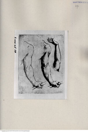 Vorderseite von  [http://creativecommons.org/publicdomain/mark/1.0/] ... - , bh262579. Foto.