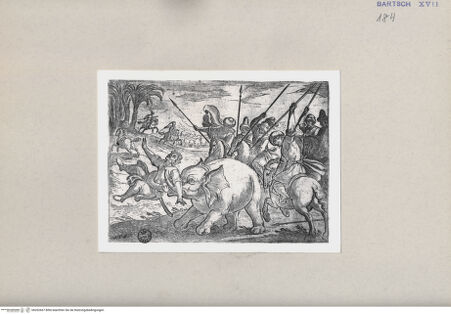 Vorderseite von  [http://creativecommons.org/publicdomain/mark/1.0/] Jagd - , bh262667. Foto.