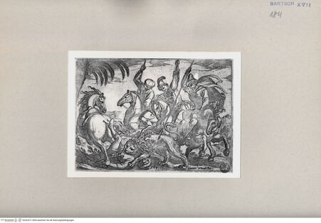 Vorderseite von  [http://creativecommons.org/publicdomain/mark/1.0/] Jagd - , bh262671. Foto.