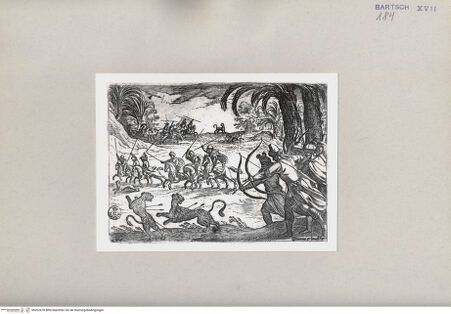 Vorderseite von  [http://creativecommons.org/publicdomain/mark/1.0/] Jagd - , bh262678. Foto.