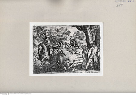 Vorderseite von  [http://creativecommons.org/publicdomain/mark/1.0/] Jagd - , bh262696. Foto.