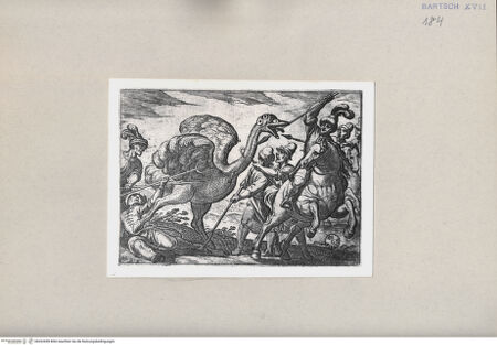 Vorderseite von  [http://creativecommons.org/publicdomain/mark/1.0/] Jagd - , bh262698. Foto.