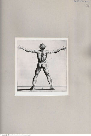 Vorderseite von  [http://creativecommons.org/publicdomain/mark/1.0/] ... - , bh262701. Foto.