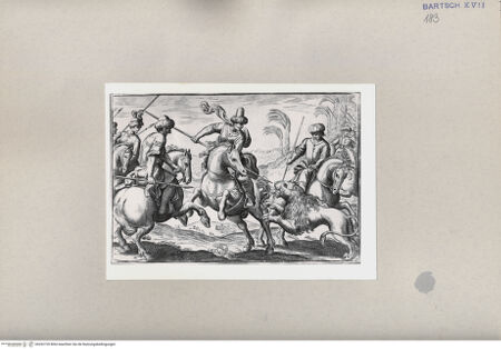 Vorderseite von  [http://creativecommons.org/publicdomain/mark/1.0/] Jagd - , bh262720. Foto.