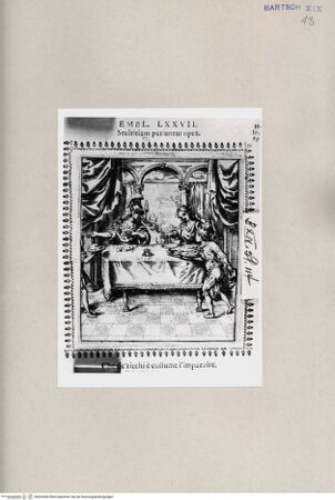 Vorderseite von  [http://creativecommons.org/publicdomain/mark/1.0/] ... - , bh262846. Foto.