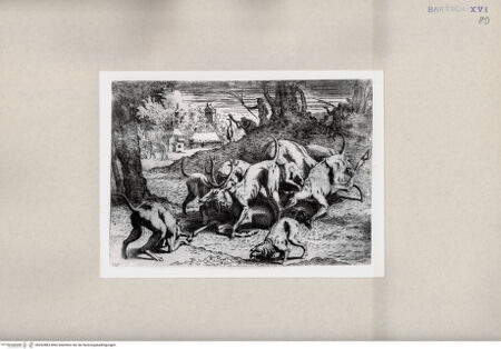 Vorderseite von  [http://creativecommons.org/publicdomain/mark/1.0/] ... - , bh262883. Foto.