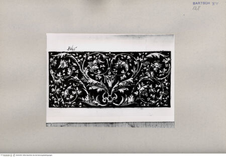 Vorderseite von  [http://creativecommons.org/publicdomain/mark/1.0/] ... - , bh262901. Foto.