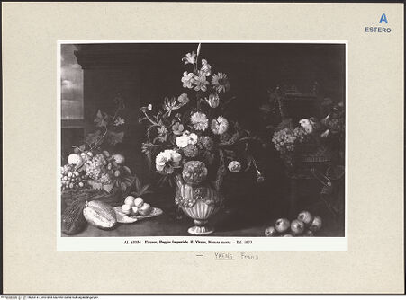 Vorderseite von bh263141_recto