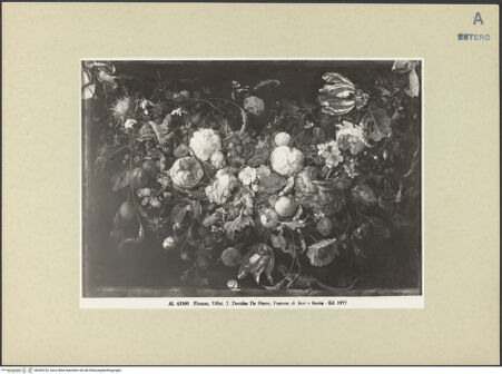 Vorderseite von bh263152_recto