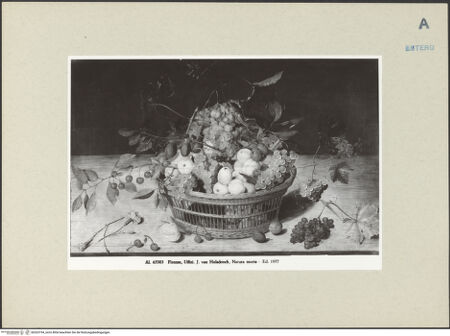 Vorderseite von bh263194_recto