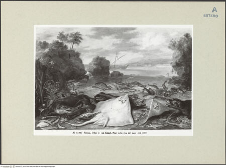 Vorderseite von bh263223_recto