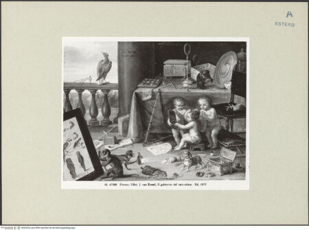 Vorderseite von bh263224_recto