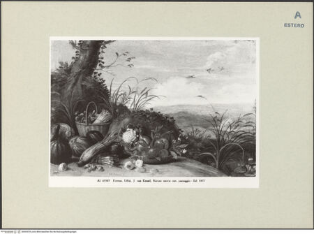 Vorderseite von bh263225_recto