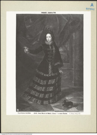 Vorderseite von bh263310_recto