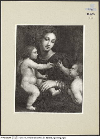 Vorderseite von bh263366_recto