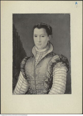 Vorderseite von bh263656_recto