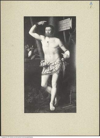 Vorderseite von bh263660_recto