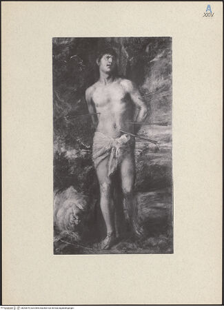 Vorderseite von bh263679_recto