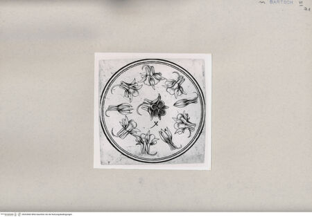 Vorderseite von  [http://creativecommons.org/publicdomain/mark/1.0/] ... - , bh263683. Foto.