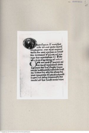 Vorderseite von  [http://creativecommons.org/publicdomain/mark/1.0/] Heilige Apollonia - , bh263765. Foto.