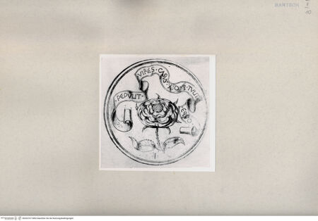 Vorderseite von  [http://creativecommons.org/publicdomain/mark/1.0/] ... - , bh263767. Foto.