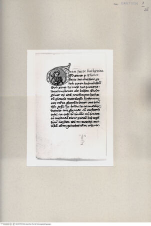 Vorderseite von  [http://creativecommons.org/publicdomain/mark/1.0/] Heilige Katharina - , bh263782. Foto.