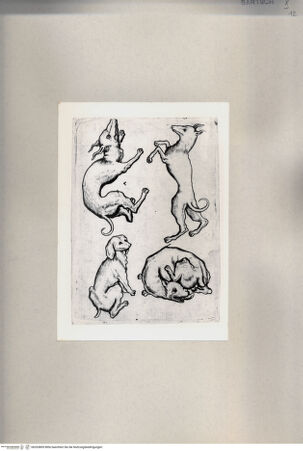 Vorderseite von  [http://creativecommons.org/publicdomain/mark/1.0/] ... - , bh263809. Foto.