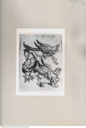 Vorderseite von  [http://creativecommons.org/publicdomain/mark/1.0/] ... - , bh263810. Foto.