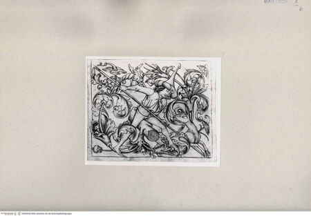 Vorderseite von  [http://creativecommons.org/publicdomain/mark/1.0/] ... - , bh263926. Foto.