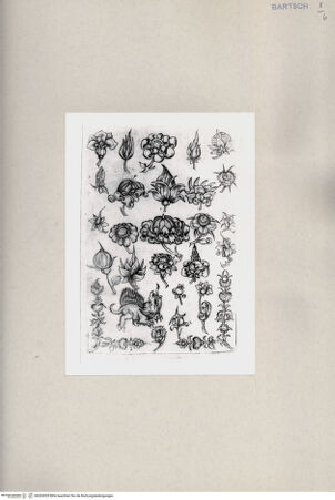 Vorderseite von  [http://creativecommons.org/publicdomain/mark/1.0/] ... - , bh263929. Foto.