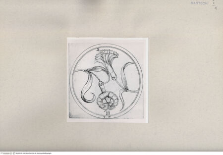 Vorderseite von  [http://creativecommons.org/publicdomain/mark/1.0/] ... - , bh263936. Foto.