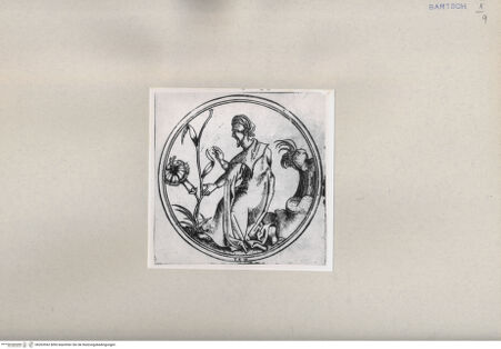 Vorderseite von  [http://creativecommons.org/publicdomain/mark/1.0/] ... - , bh263942. Foto.