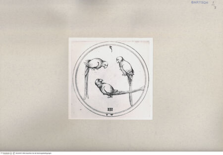 Vorderseite von  [http://creativecommons.org/publicdomain/mark/1.0/] ... - , bh263951. Foto.