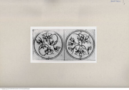 Vorderseite von  [http://creativecommons.org/publicdomain/mark/1.0/] ... - , bh263965. Foto.