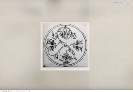 Vorderseite von  [http://creativecommons.org/publicdomain/mark/1.0/] ... - , bh263968. Foto.