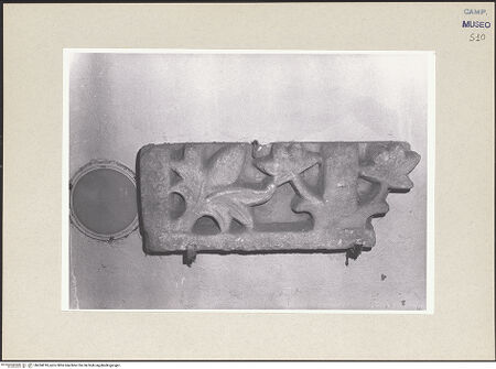 Vorderseite von Pace, Valentino [https://www.deutsche-digitale-bibliothek.de/content/lizenzen/rv-ez/] Fragment eines Gesims - Gesamtansicht, bh264018_recto. Foto: Pace, Valentino.