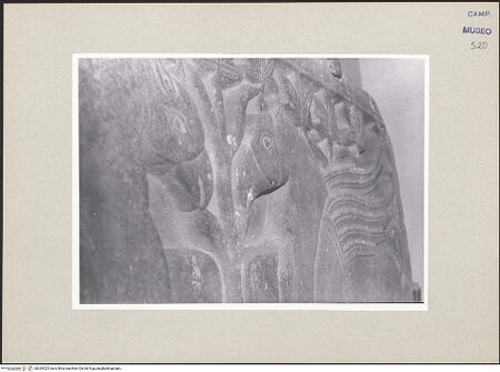 Vorderseite von Pace, Valentino [https://www.deutsche-digitale-bibliothek.de/content/lizenzen/rv-ez/] Reliefplatte mit Greifen - Gesamtansicht, bh264025_recto. Foto: Pace, Valentino.