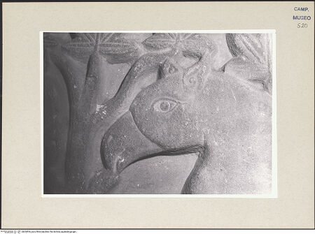 Vorderseite von Pace, Valentino [https://www.deutsche-digitale-bibliothek.de/content/lizenzen/rv-ez/] Reliefplatte mit Greifen - Gesamtansicht, bh264026_recto. Foto: Pace, Valentino.