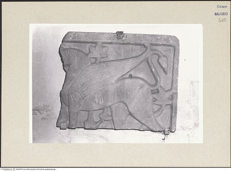 Vorderseite von Pace, Valentino [https://www.deutsche-digitale-bibliothek.de/content/lizenzen/rv-ez/] Fragment einer Reliefplatte mit Greifen - Gesamtansicht, bh264027_recto. Foto: Pace, Valentino.