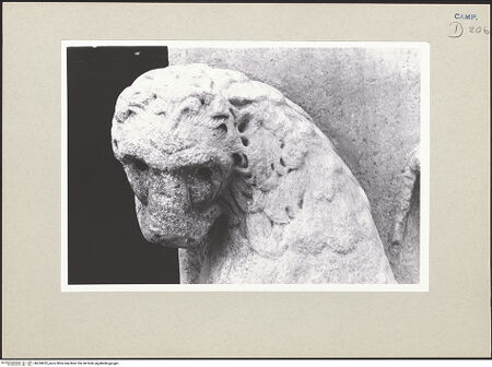 Vorderseite von Pace, Valentino [https://www.deutsche-digitale-bibliothek.de/content/lizenzen/rv-ez/] Porta dei Leoni (Portal des Atriums)Löwen - Löwe, rechts (Kopf), bh264052_recto. Foto: Pace, Valentino.